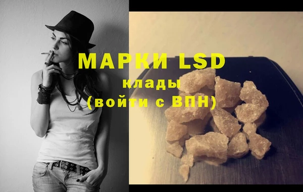 PSILOCYBIN Аркадак