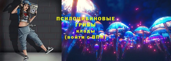 PSILOCYBIN Аркадак