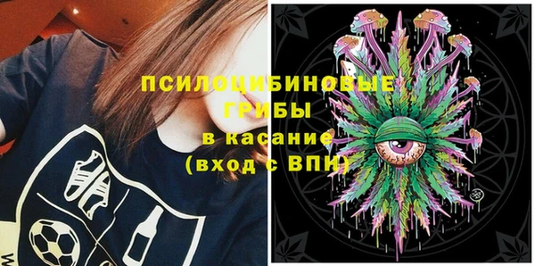 PSILOCYBIN Аркадак