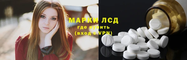 гидра Покачи