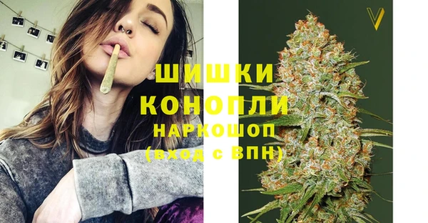 PSILOCYBIN Аркадак