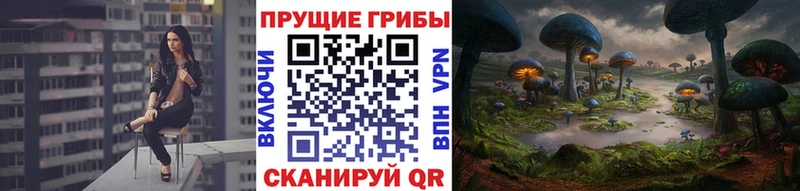 МЕГА вход  Сухой Лог  Псилоцибиновые грибы Magic Shrooms  купить закладку 